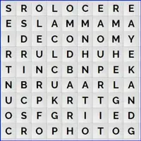 Classic Word Search Gameplay GIF Large
