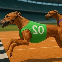  Dog Racing Master  Game unblocked free