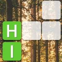  Word Blocks unblocked free